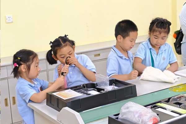 学习日常