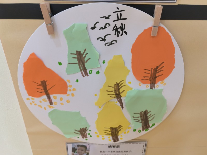 中班作品202508